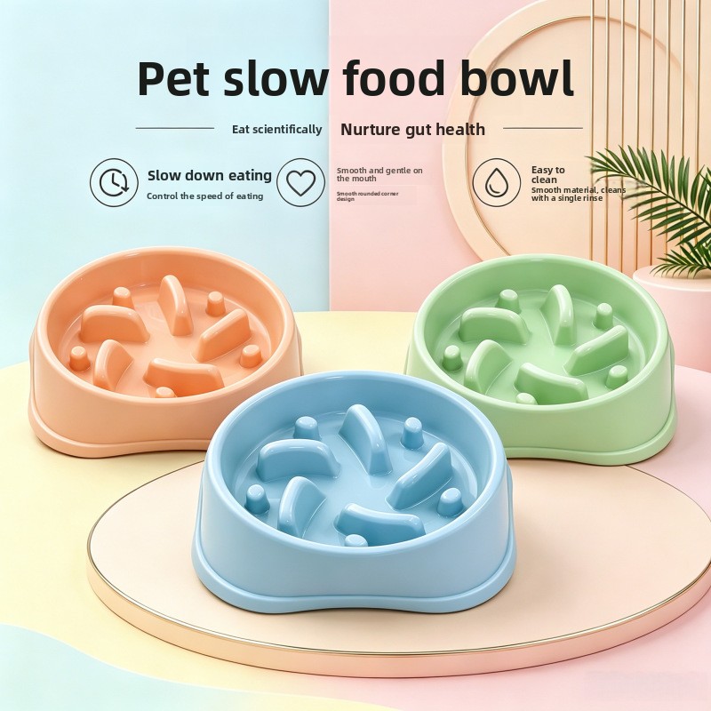 Royal Canin Food Medium - 1/3 Buah Mangkuk Anjing Anti Selip