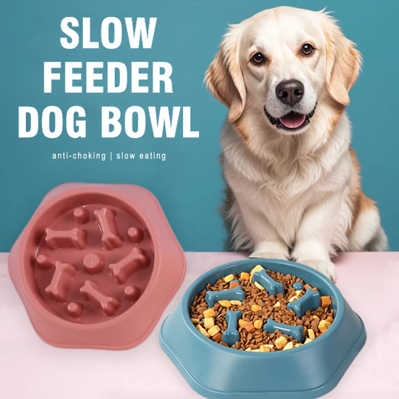 Mangkuk Makan Anjing Slow Feed - Royal Canin Food Medium ulasan dan harga