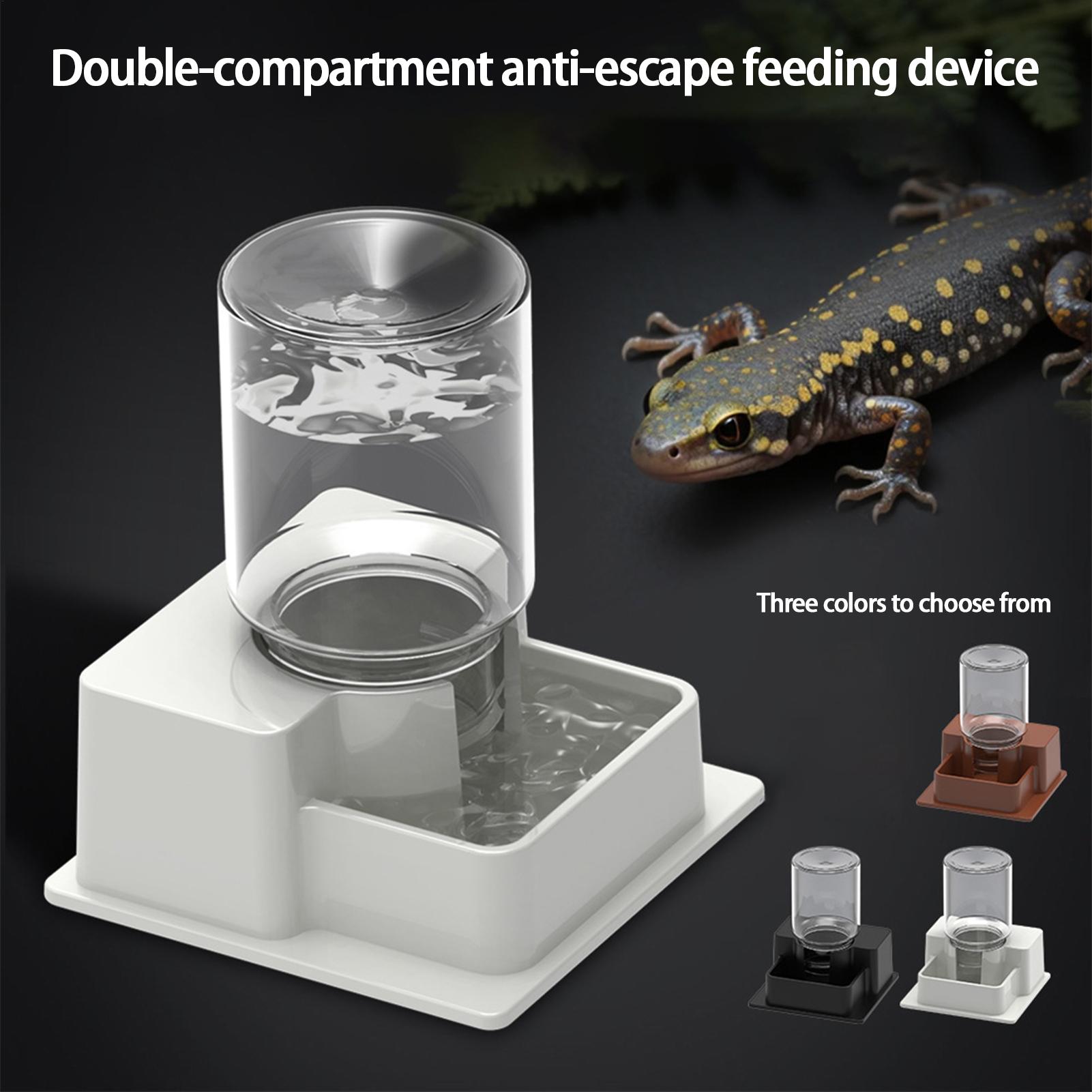 Tempat Air Reptil Otomatis, Wa - Water Dish Reptile ulasan dan harga