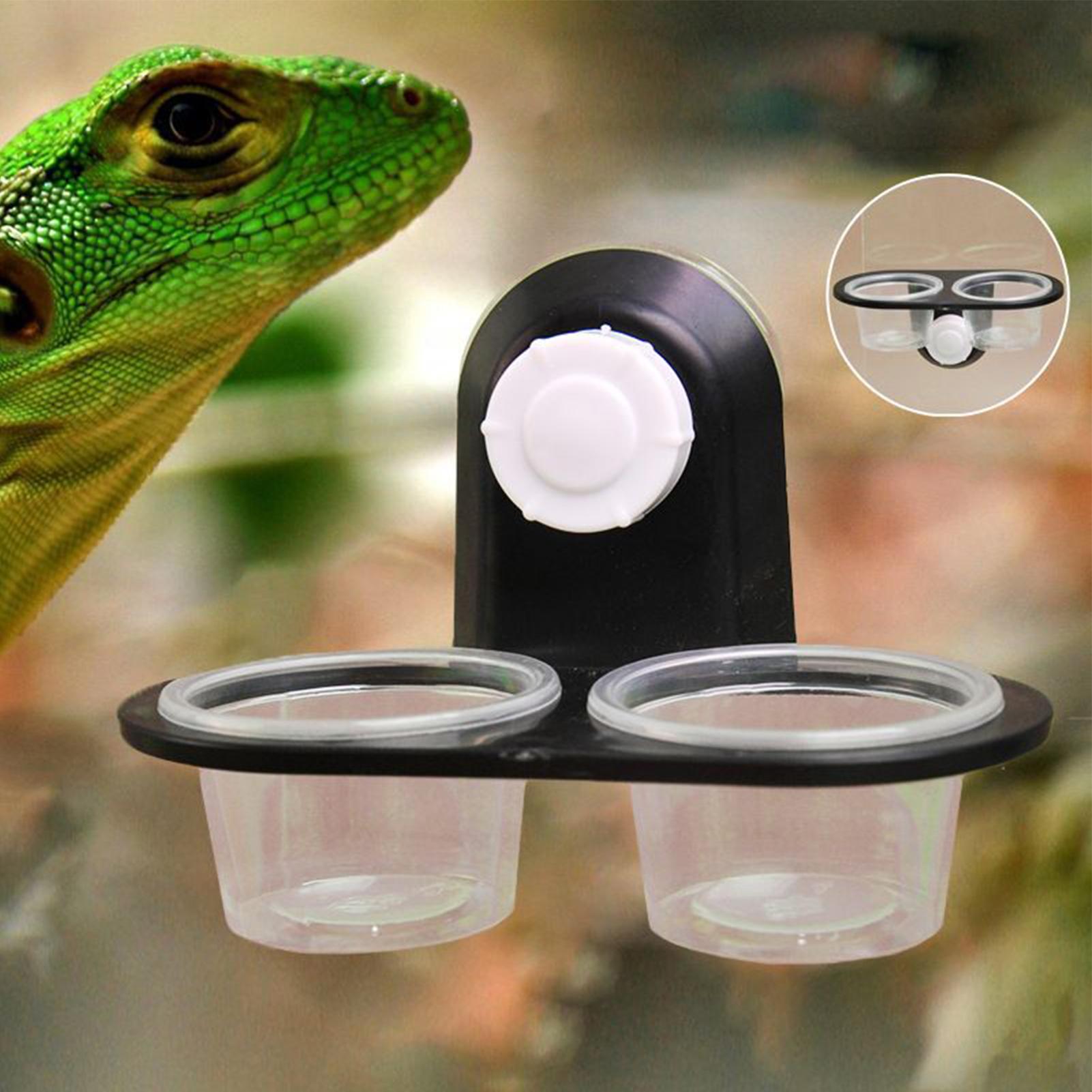 Tempat Makan dan Minum Gecko d - Water Dish Reptile ulasan dan harga