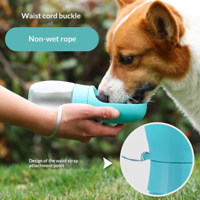 Botol Air Anjing Besar, Mangku - Royal Canin Food Medium ulasan dan harga