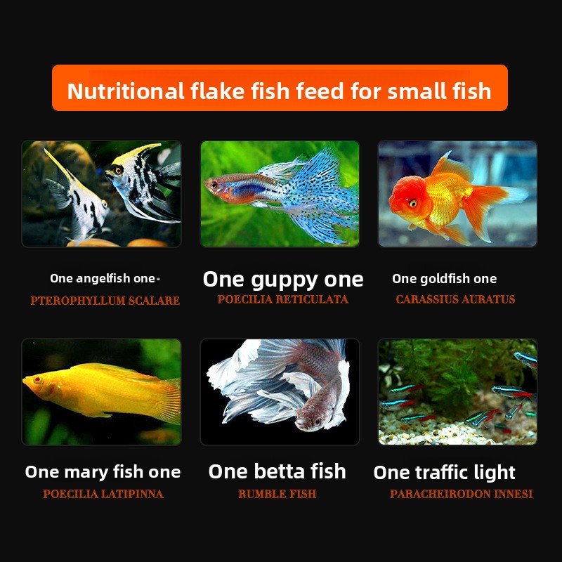 Makanan Ikan DaJiaWa Spirulina - Tetra Food Betta Flakes ulasan dan harga
