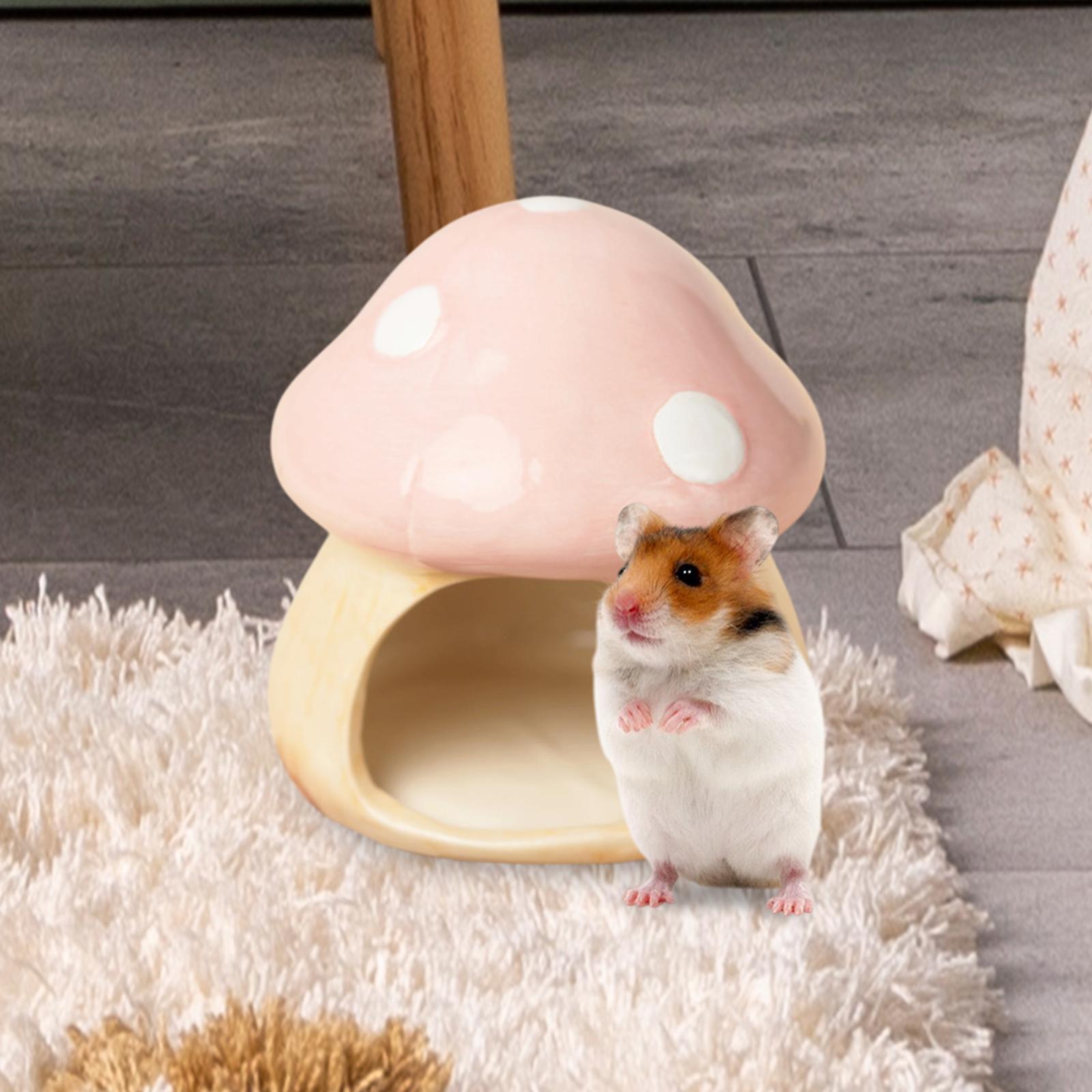 Keramik jamur Hamster Hideout  - Hide Cave Ceramic ulasan dan harga